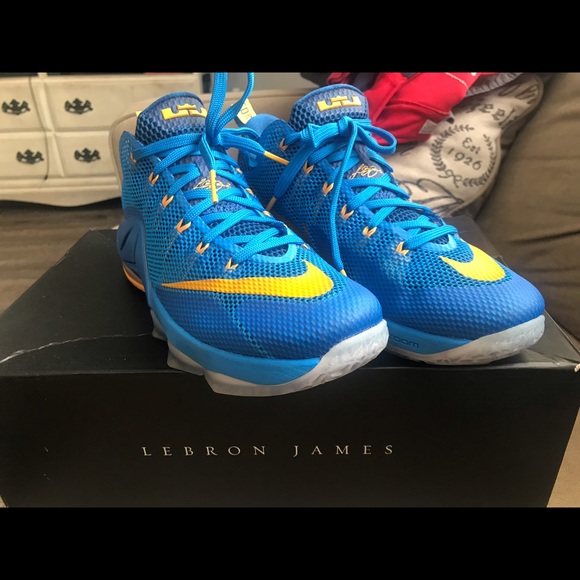 Lebron James XII - Picture 1 of 3